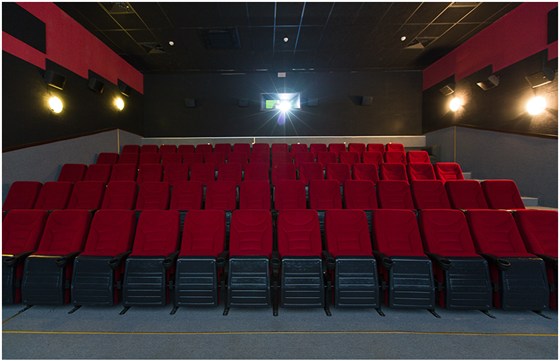 Gagarin Cinema (Ивантеевка) – афиша